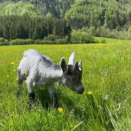 Casa de Férias Hirzbachgut Fusch an der Grossglocknerstrasse