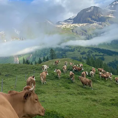 Hirzbachgut Fusch an der Großglocknerstraße