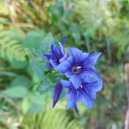 Casa de Férias Hirzbachgut *