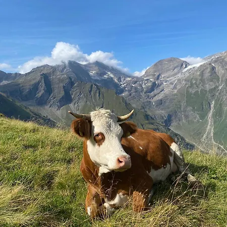 Hirzbachgut *