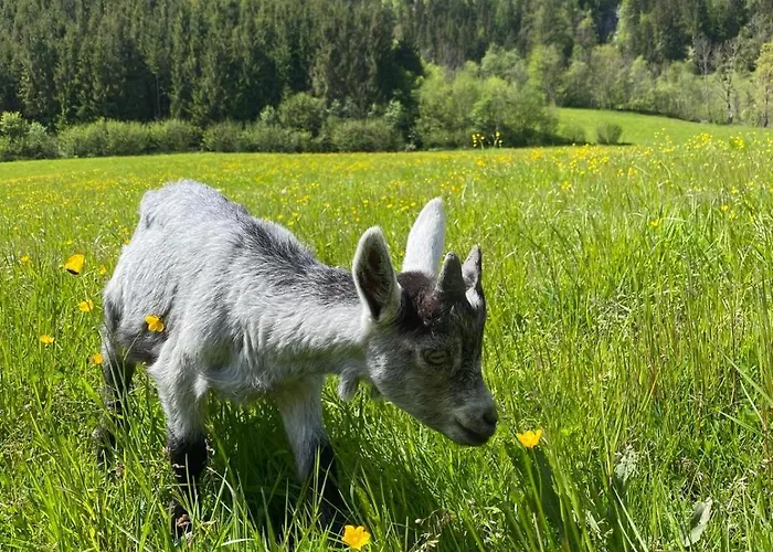 Ferienhaus Hirzbachgut Fusch an der Grossglocknerstrasse
