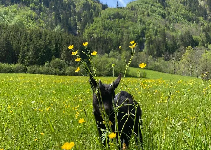 Ferienhaus Hirzbachgut Fusch an der Grossglocknerstrasse