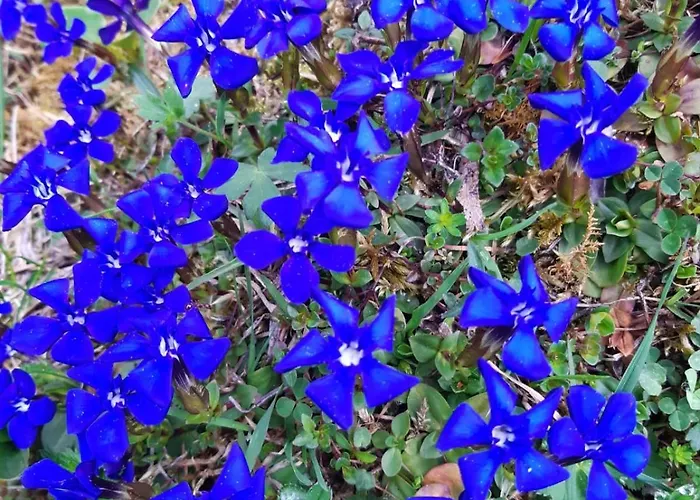 Ferienhaus Hirzbachgut