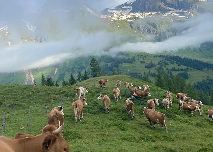 Hirzbachgut Fusch an der Grossglocknerstrasse