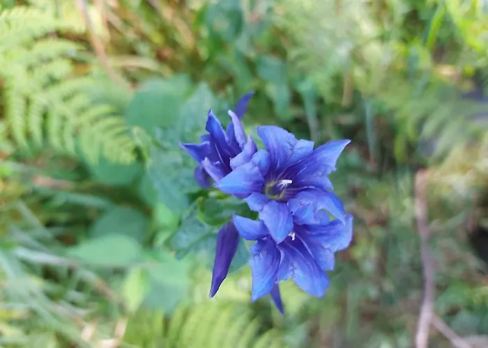 Ferienhaus Hirzbachgut *